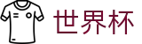 世界杯官网(中国)官方数字传播与内容分发服务